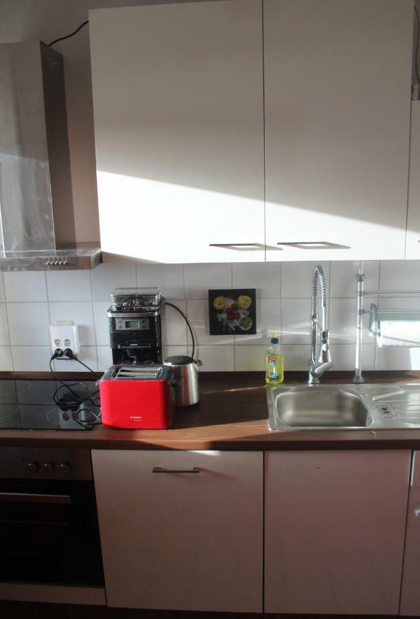 Ziebigk Appartement Deluxe Dessau-Rosslau Екстер'єр фото